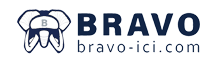 BRAVO-ICI